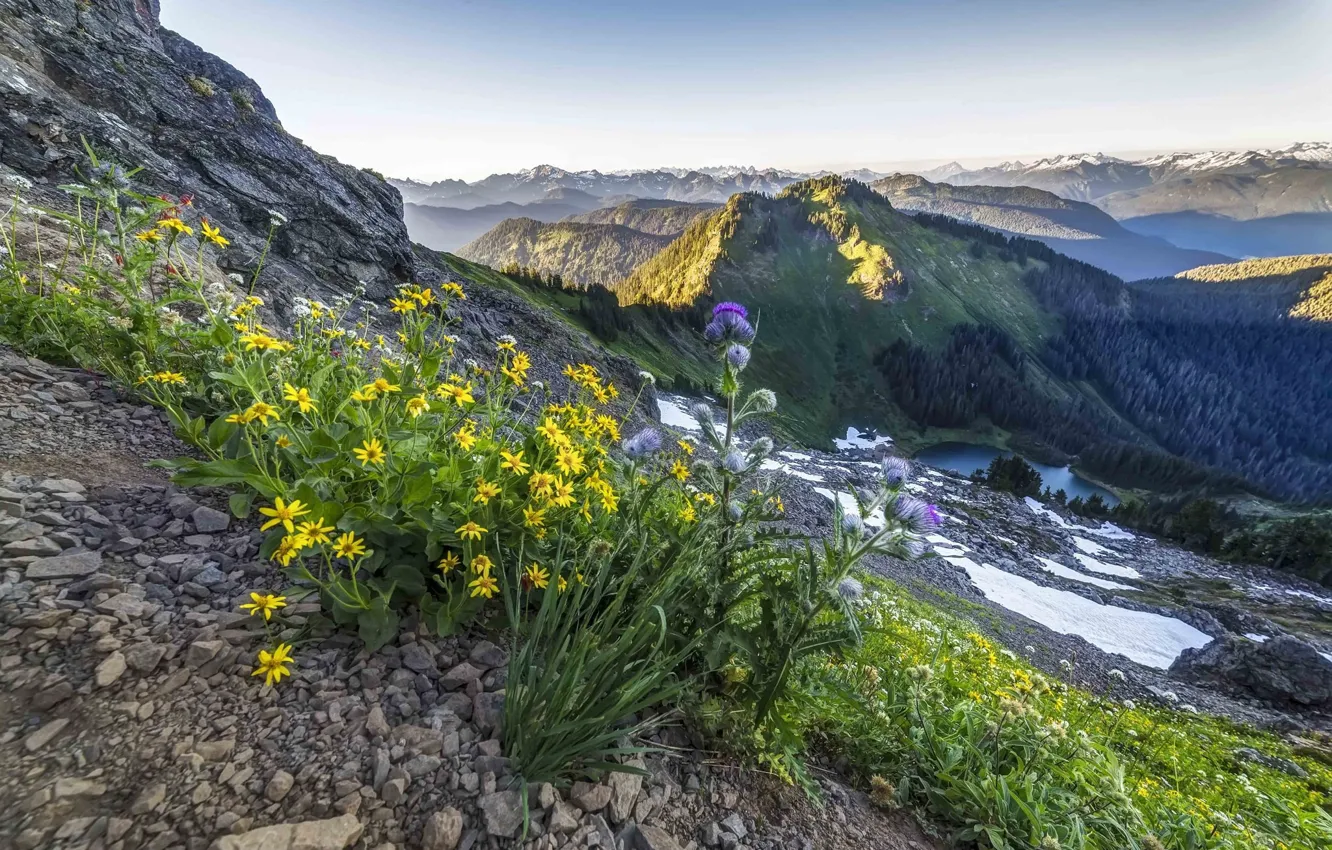 Photo wallpaper landscape, flowers, mountains, nature, beauty, slope, nature