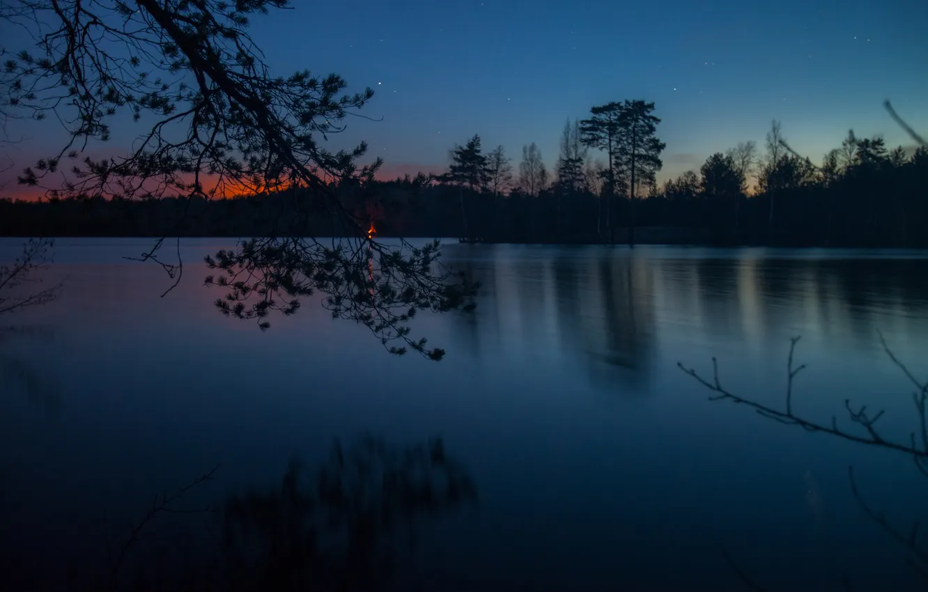 Photo wallpaper forest, the sky, trees, landscape, sunset, night, nature, lake