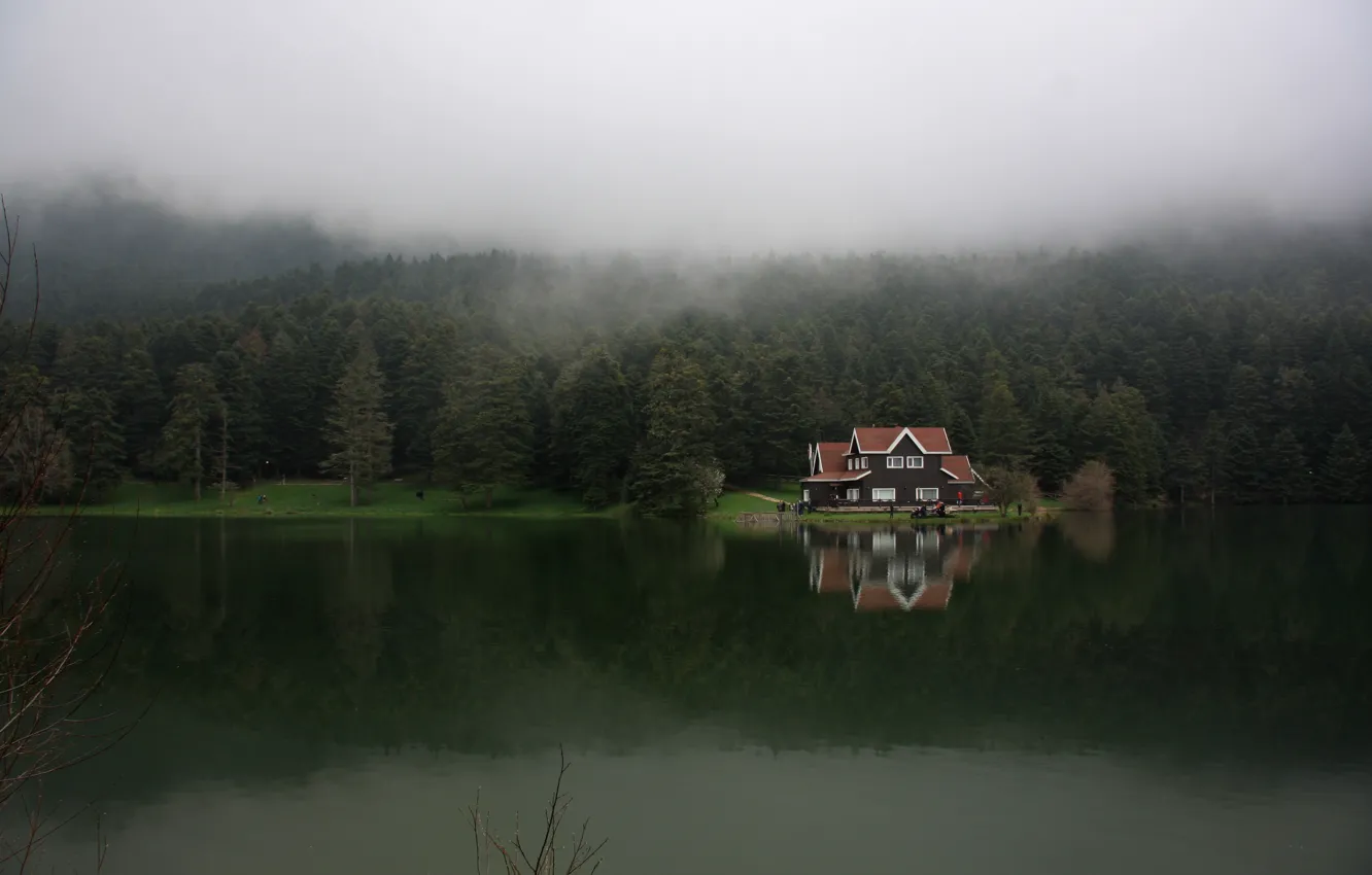 Photo wallpaper forest, fog, lake, Turkey, Bolu, Galgut