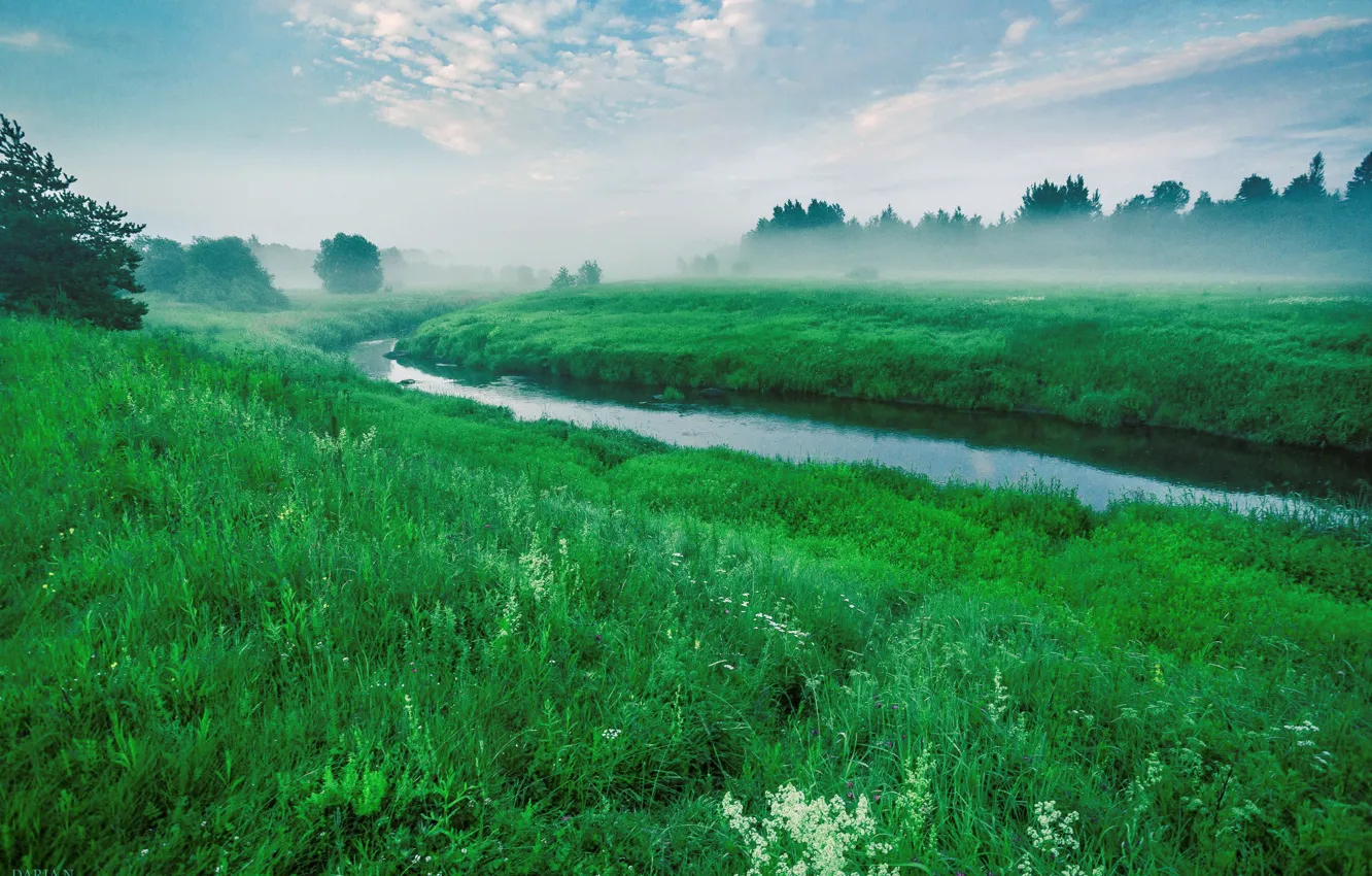 Photo wallpaper fog, morning, meadow, river