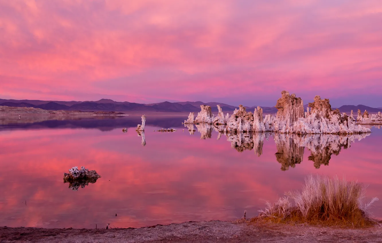 Photo wallpaper grass, lake, stones, shore, CA, USA, California, u.s.a.