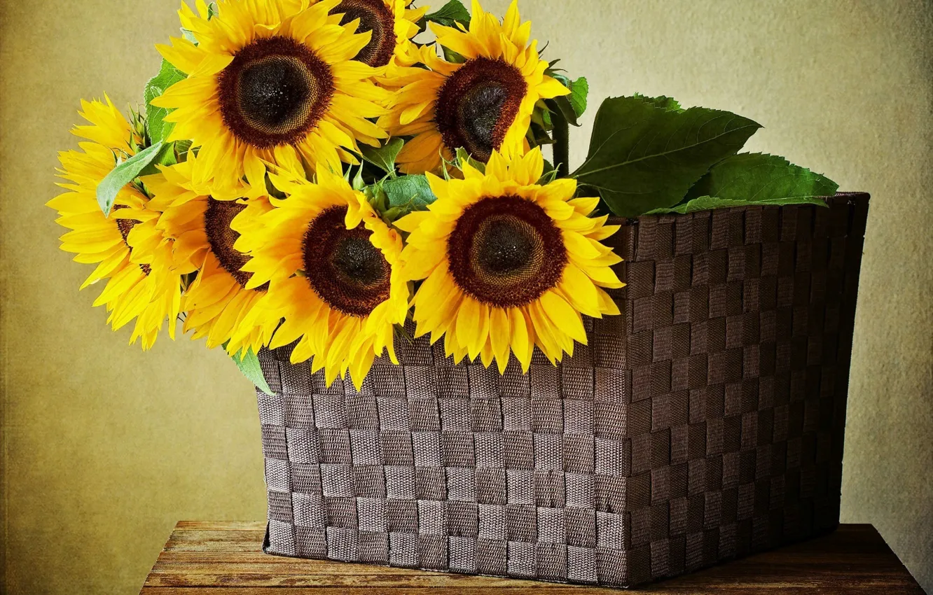 Photo wallpaper sunflowers, flowers, basket