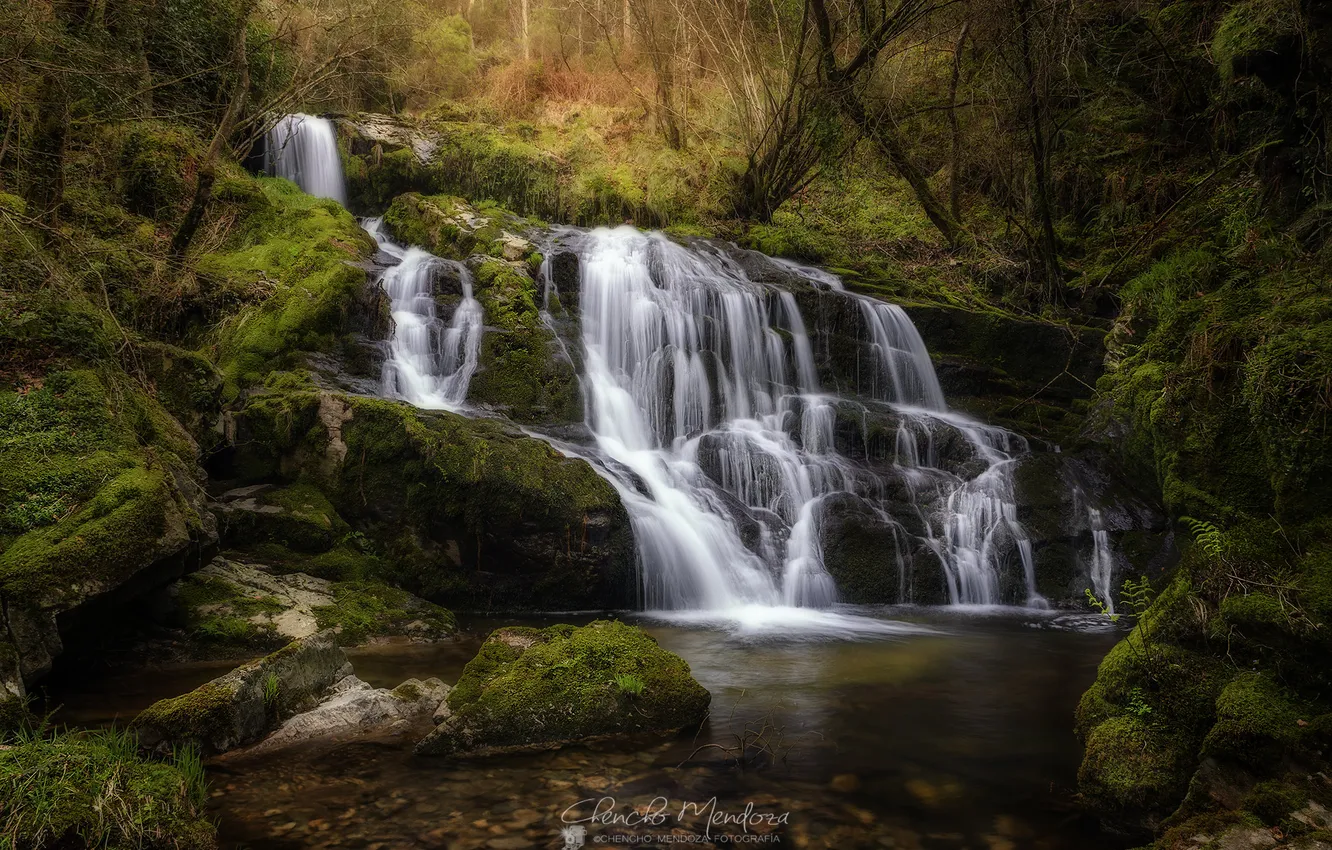 Photo wallpaper forest, nature, river, waterfall