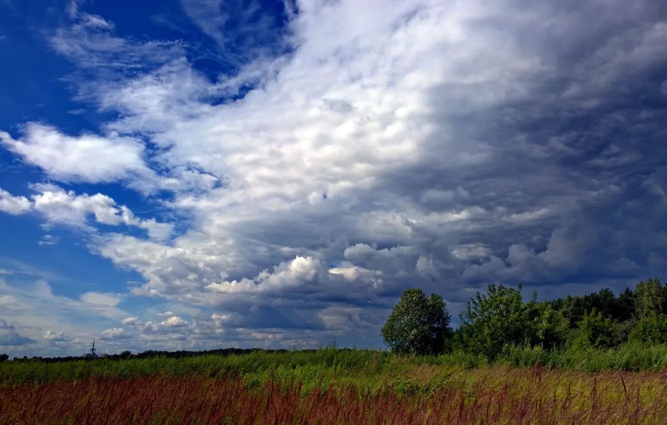 Photo wallpaper field, summer, the sky, clouds, space, Russia