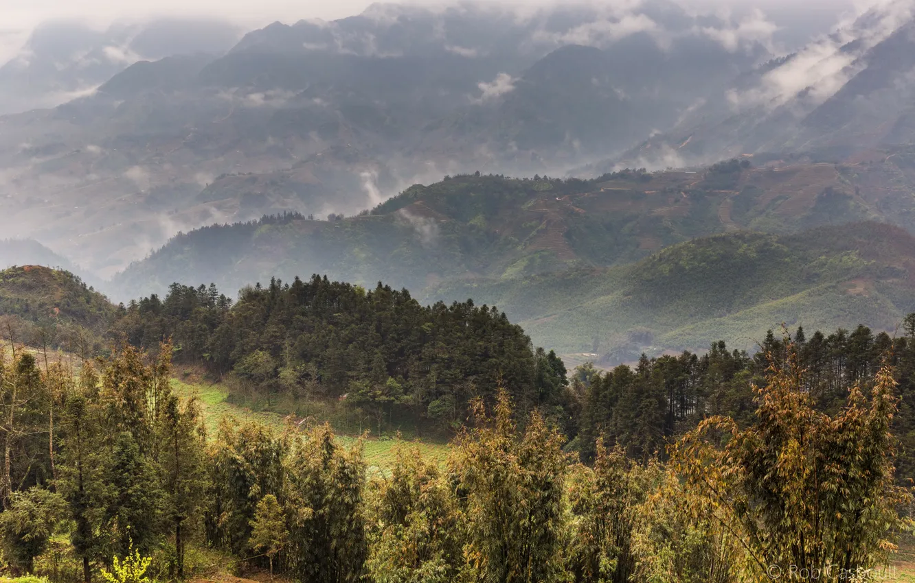 Photo wallpaper forest, trees, mountains, fog, field, panorama, Vietnam, plantation