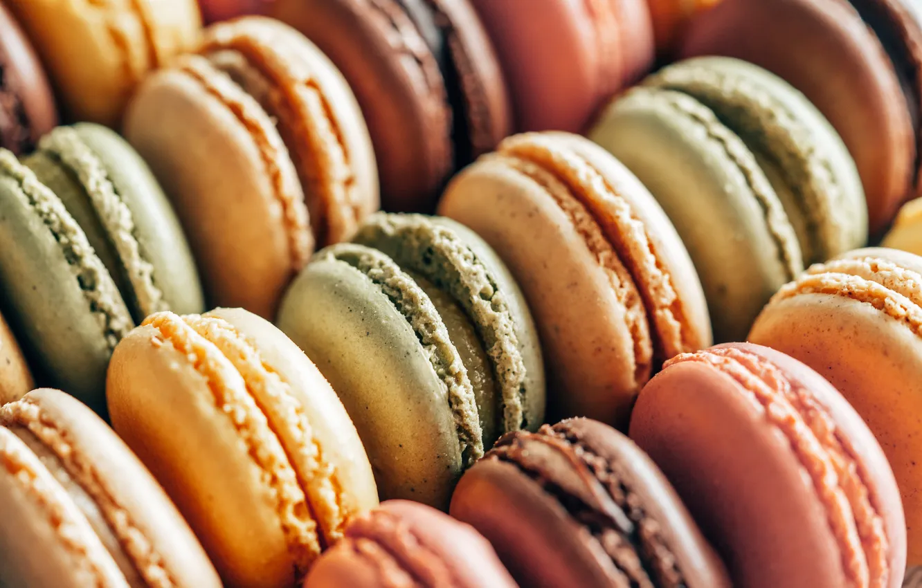 Photo wallpaper colors, macarons, quantity