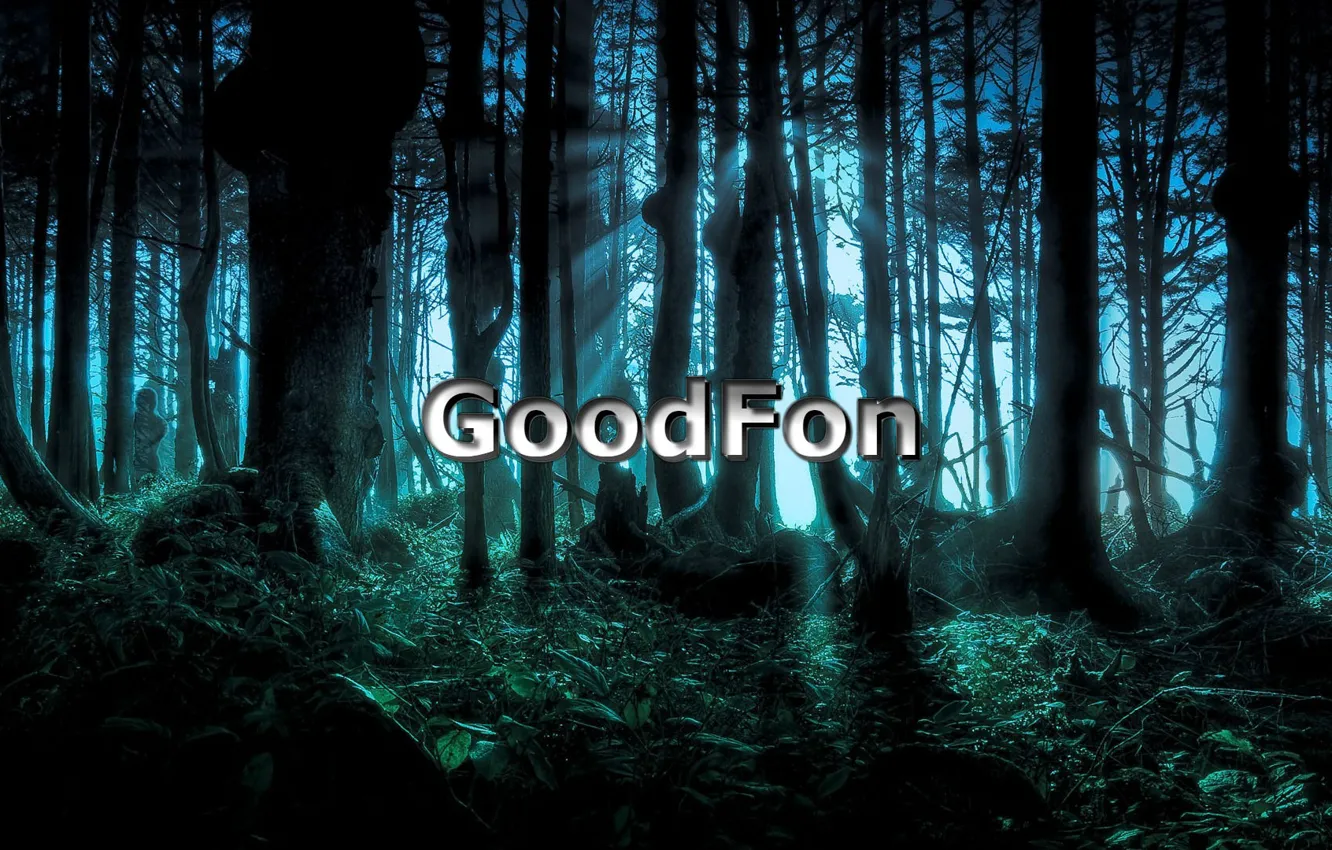 Photo wallpaper forest, night, GoodFon