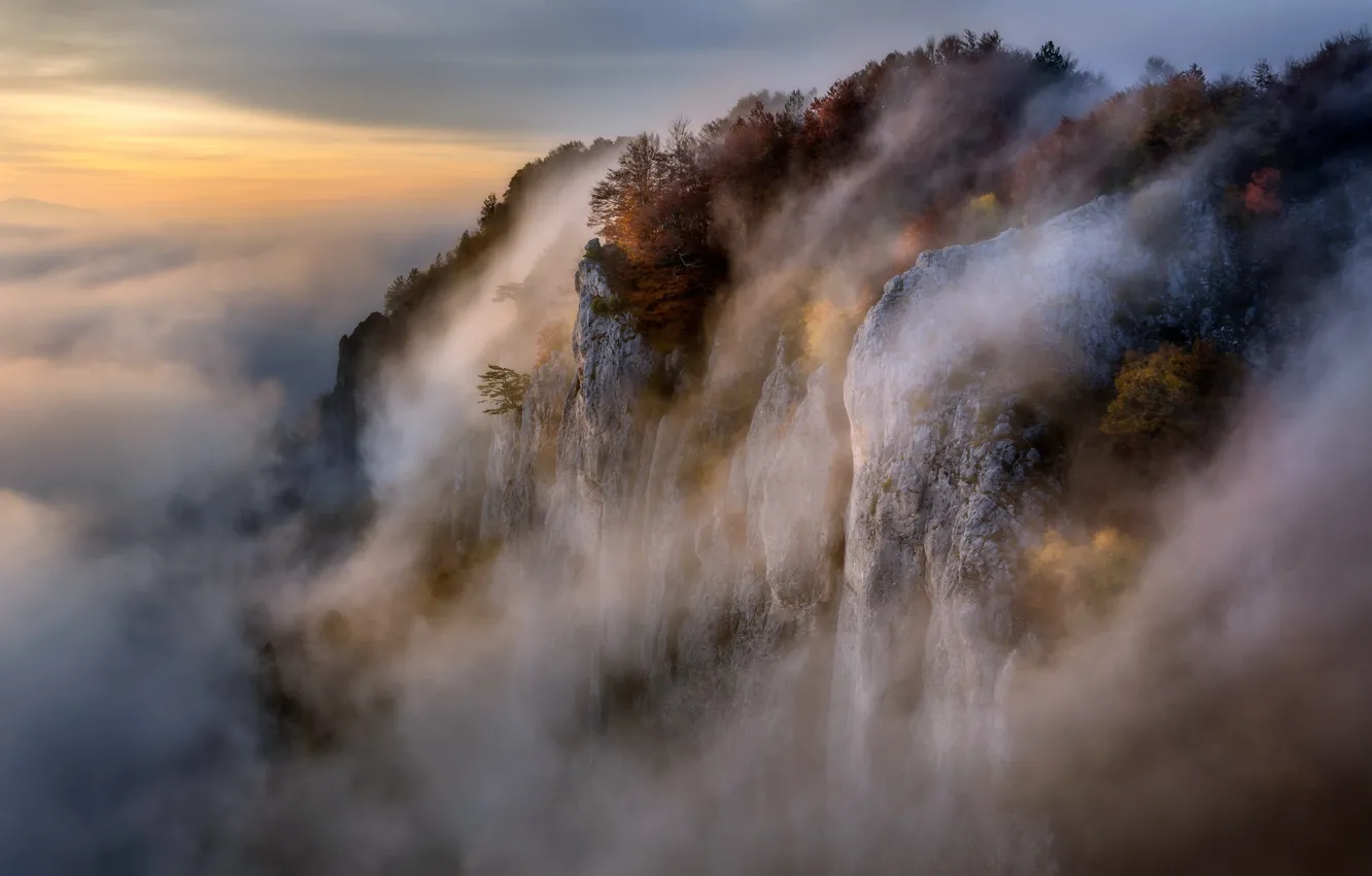Photo wallpaper nature, fog, mountain