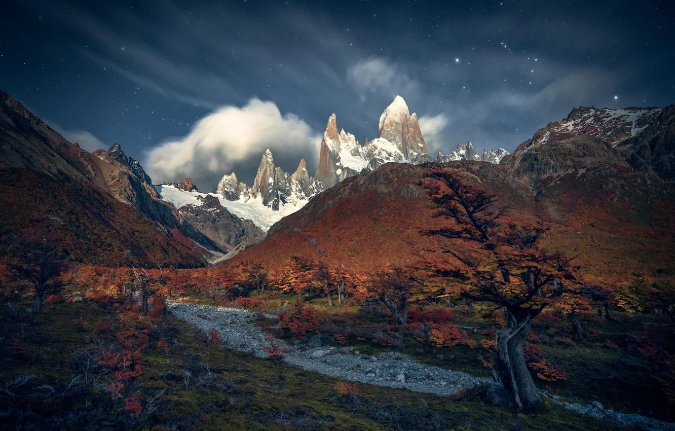 Photo wallpaper shrub, Patagonia, snow, mountains, trees, tops, autumn, night