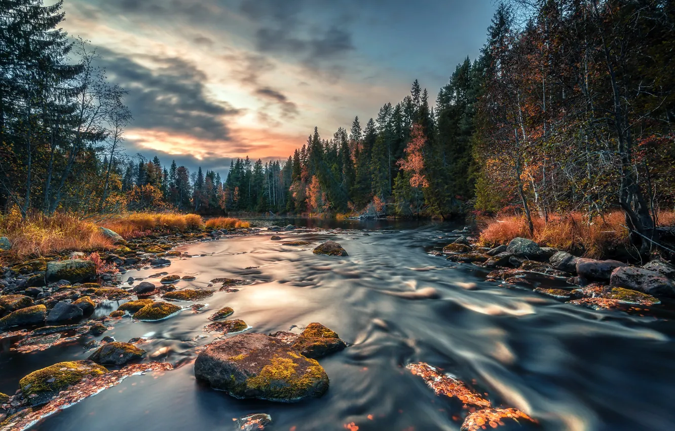 Photo wallpaper autumn, forest, river