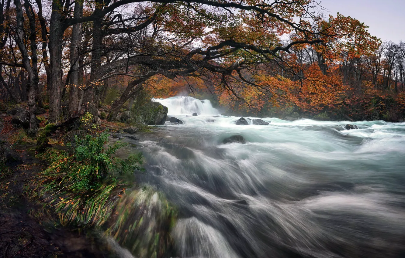 Photo wallpaper Argentina, Los Glaciares National Park, Rio de las Vueltas