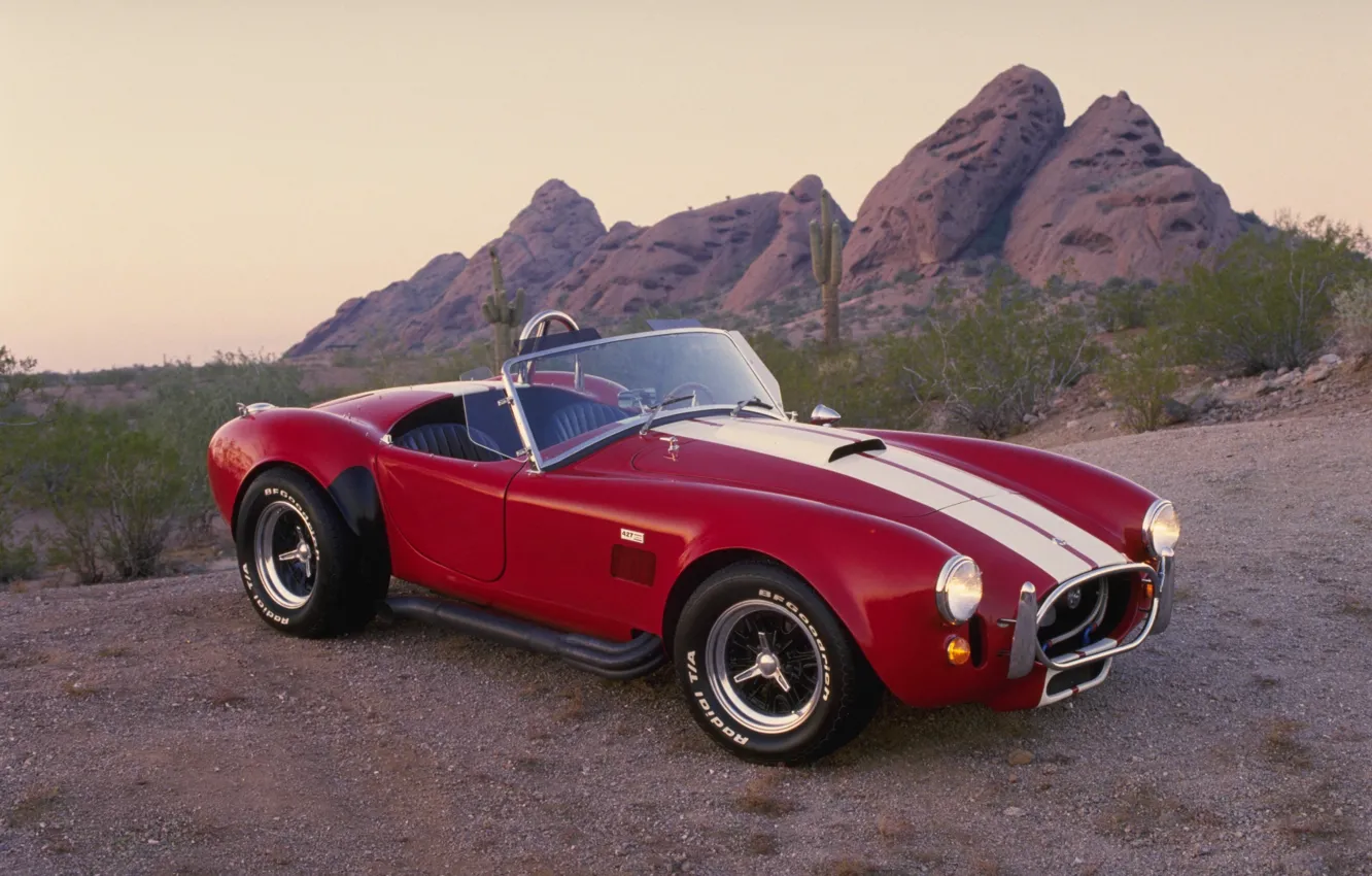 Photo wallpaper canyon, cacti, red, 1968, Shelby Cobra, Shelby Cobra