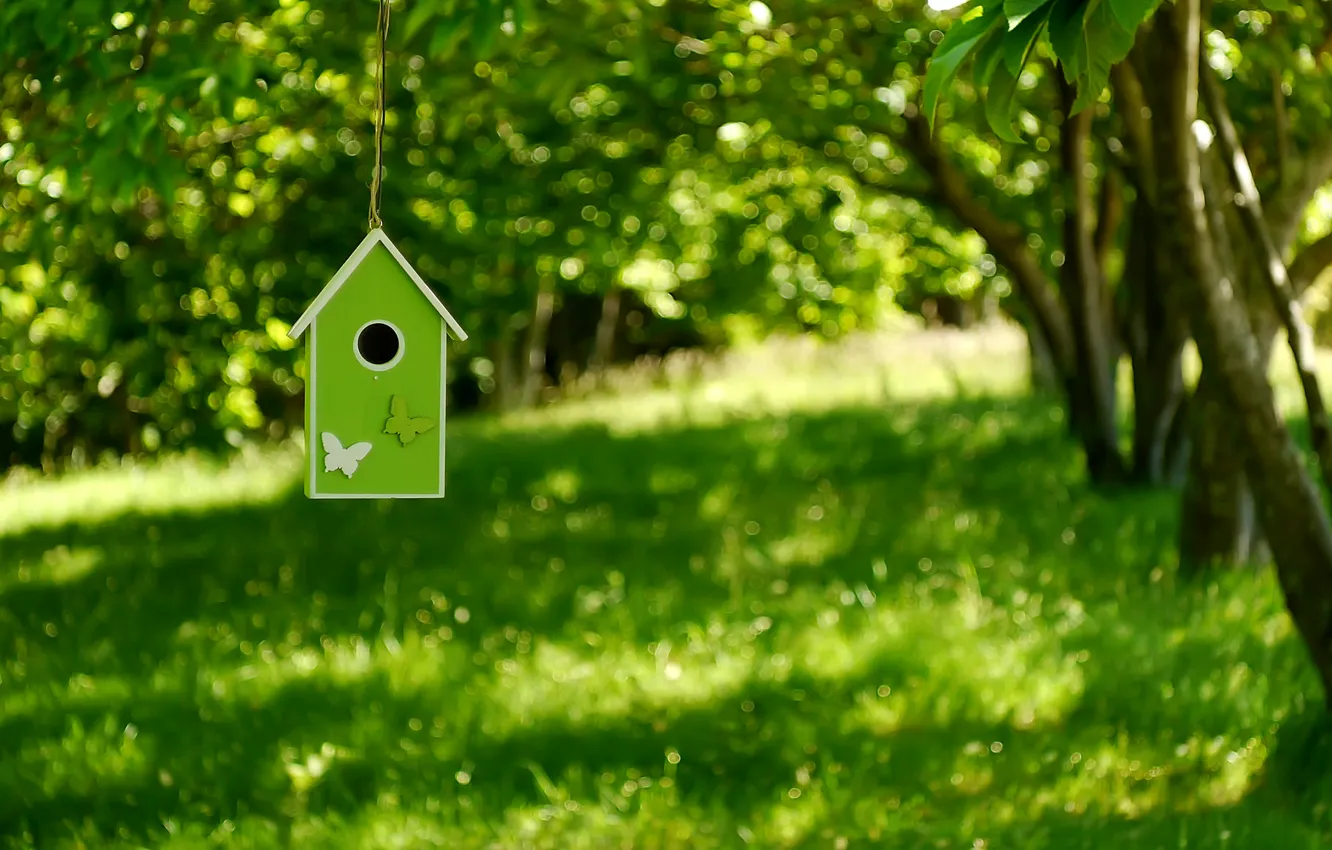Photo wallpaper greens, trees, birdhouse, bokeh