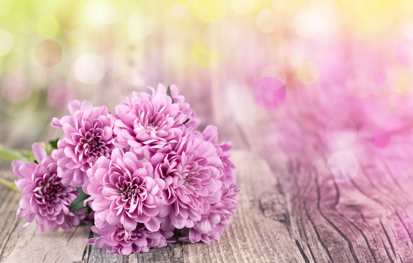 Photo wallpaper flowers, blur, bokeh