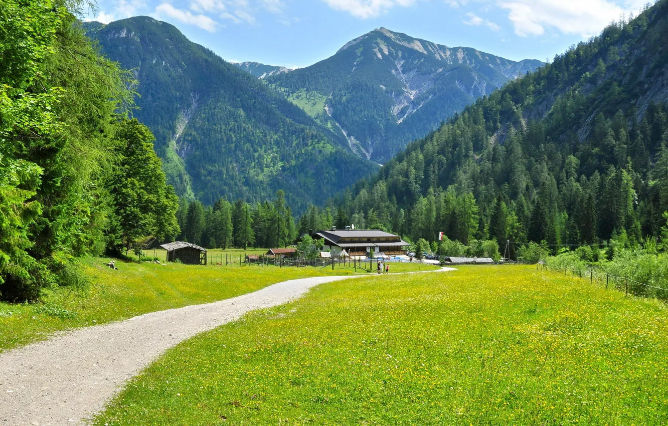 Photo wallpaper grass, landscape, mountains, nature, Austria, Tyrol, Eben am Achensee