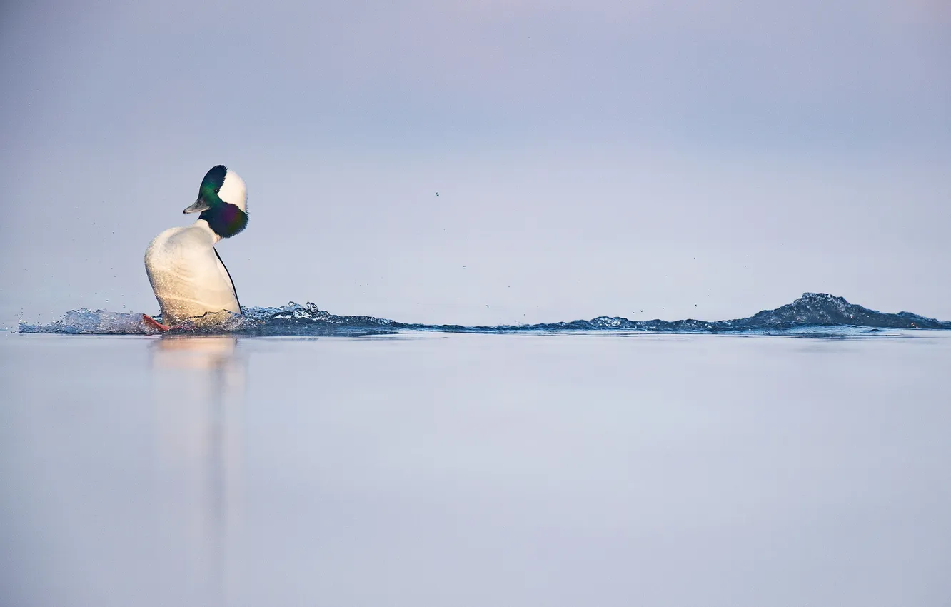 Photo wallpaper lake, ski, small Gogol