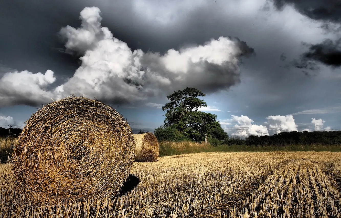 Photo wallpaper field, the sky, landscape, nature, hay