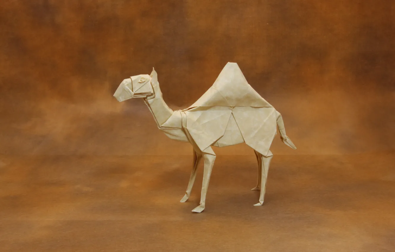 Photo wallpaper paper, origami, Dromedary Camel