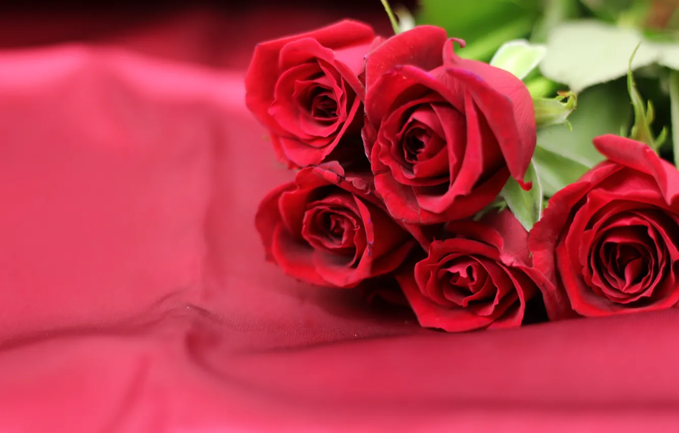 Photo wallpaper bouquet, fabric, red roses
