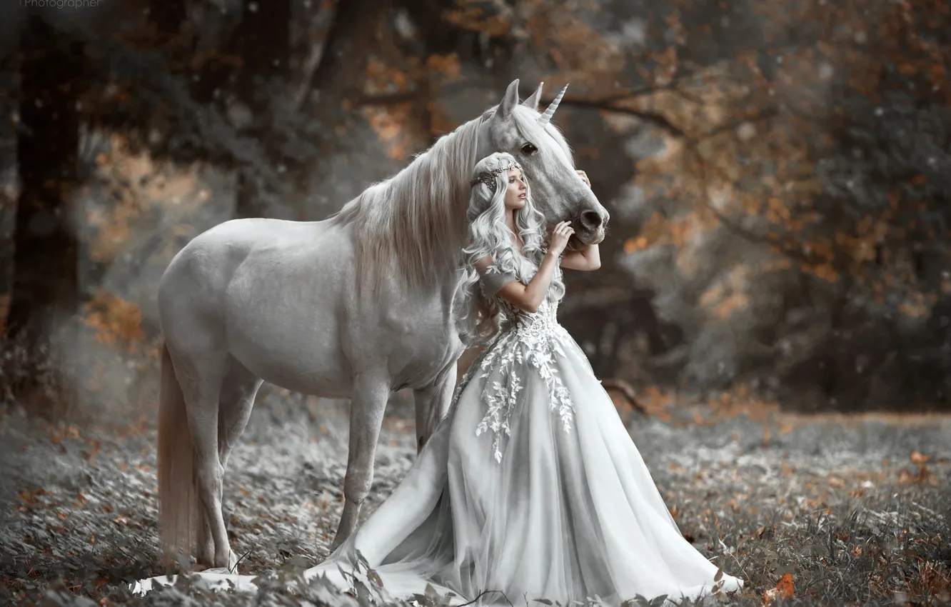 Photo wallpaper autumn, girl, horse, dress, unicorn, Princess, Marketa Novak, Bára Marková