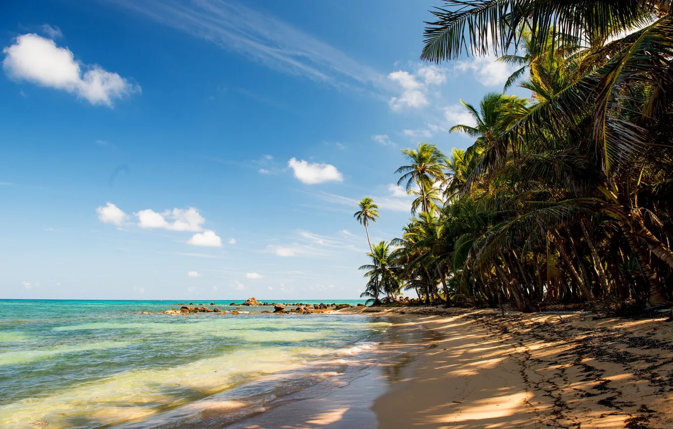 Photo wallpaper sand, sea, beach, tropics, stones, palm trees