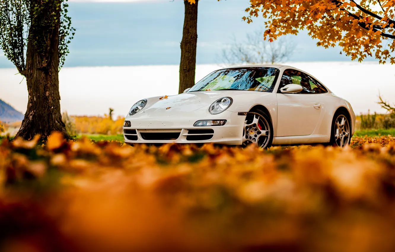 Photo wallpaper autumn, white, the sky, leaves, 911, Porsche, white, Porsche