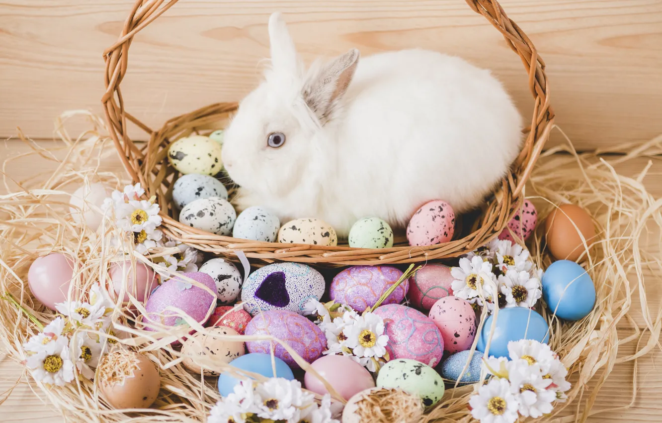 Photo wallpaper flowers, eggs, rabbit, Easter, Holiday