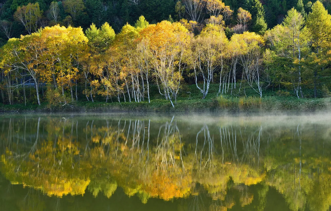 Photo wallpaper autumn, water, trees, fog, lake, reflection, slope