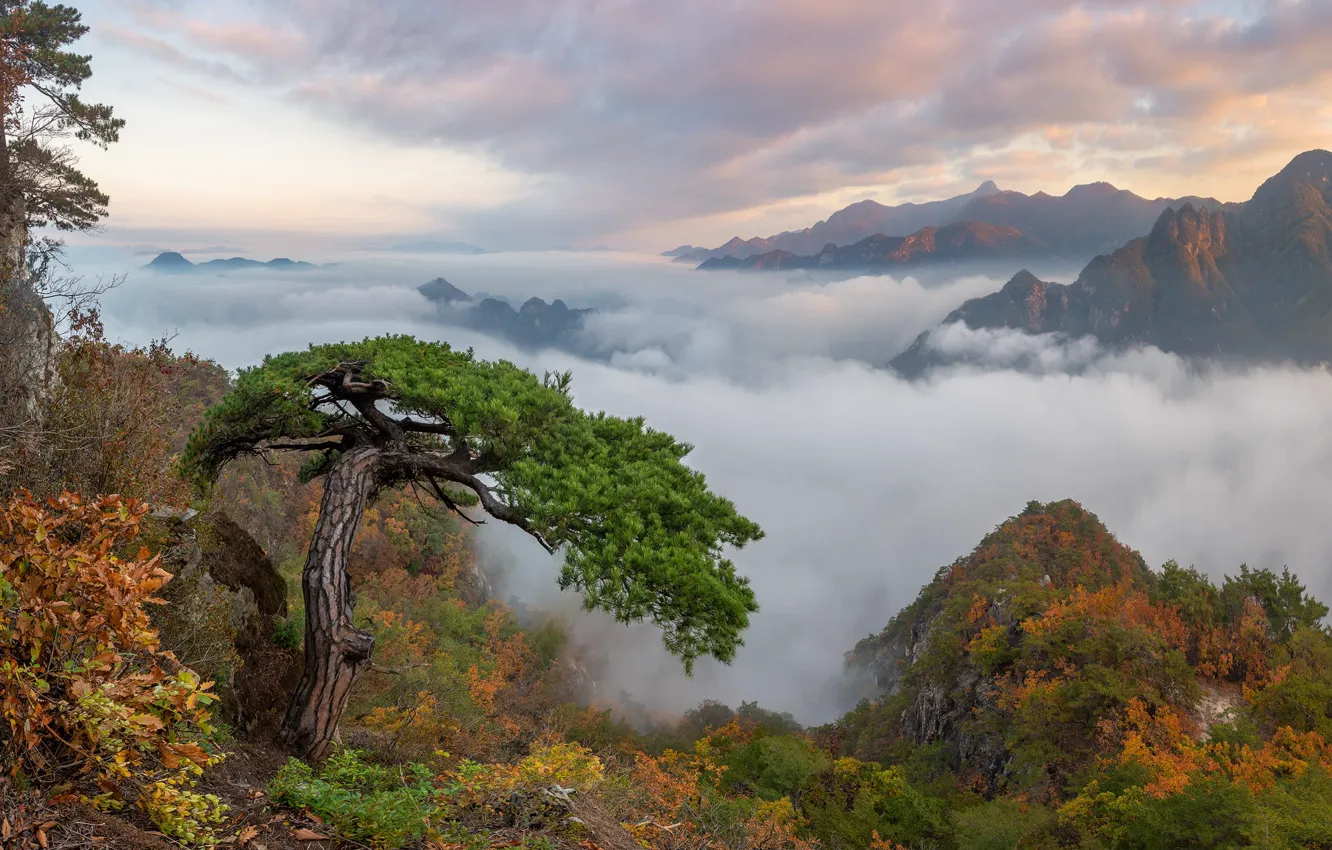 Photo wallpaper autumn, the sky, clouds, trees, mountains, fog, rocks, height