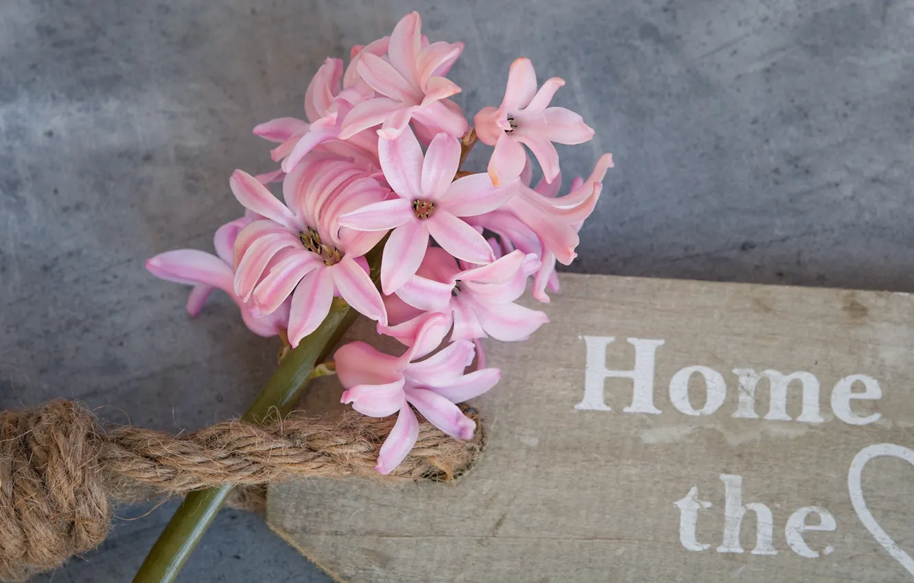 Photo wallpaper flowers, background, the inscription, plate, Board, composition, hyacinths, rope