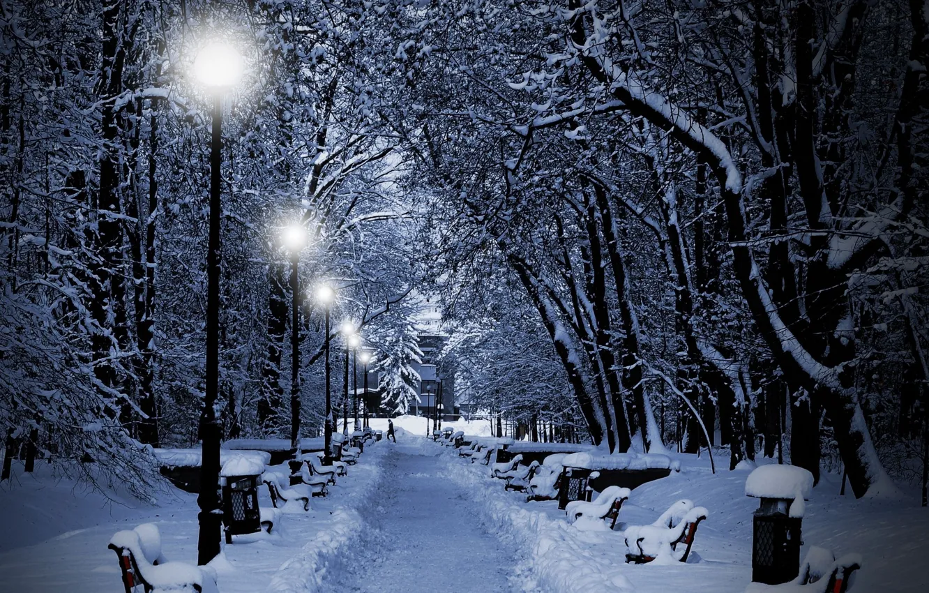 Photo wallpaper winter, snow, trees, lights, Park, the evening, lights, benches
