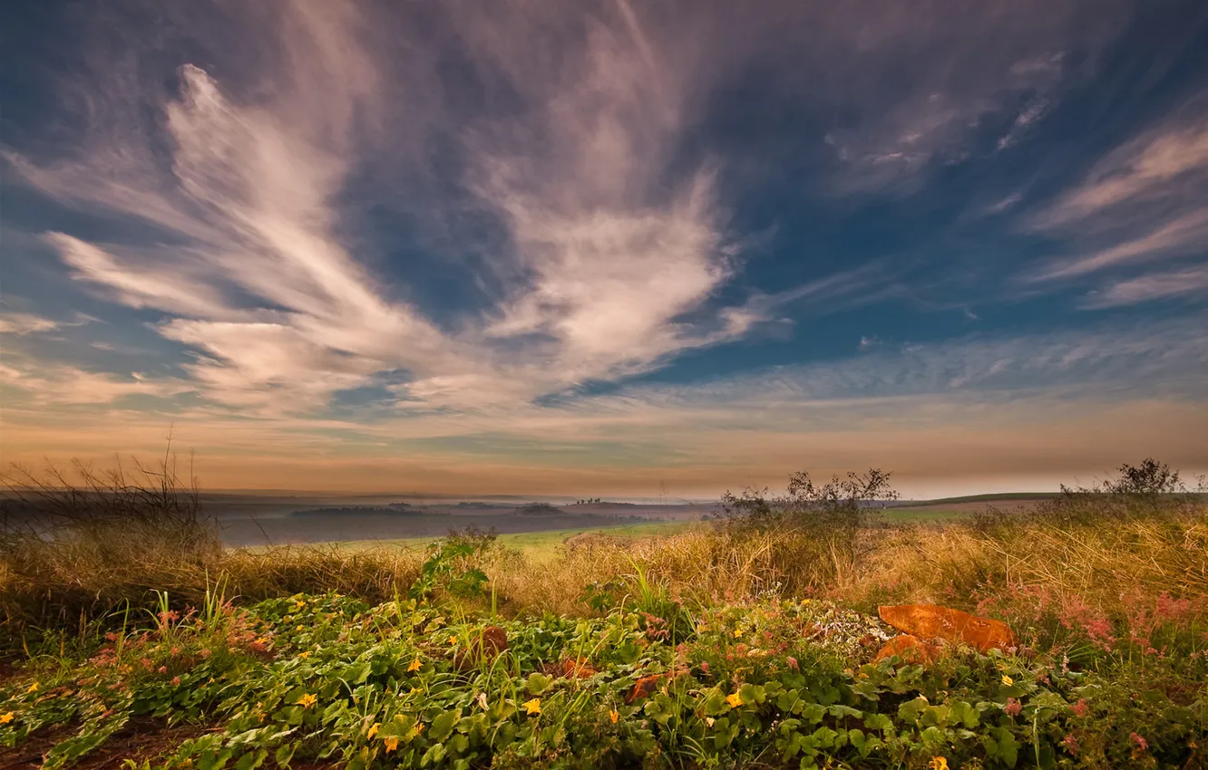 Photo wallpaper the sky, clouds, flowers