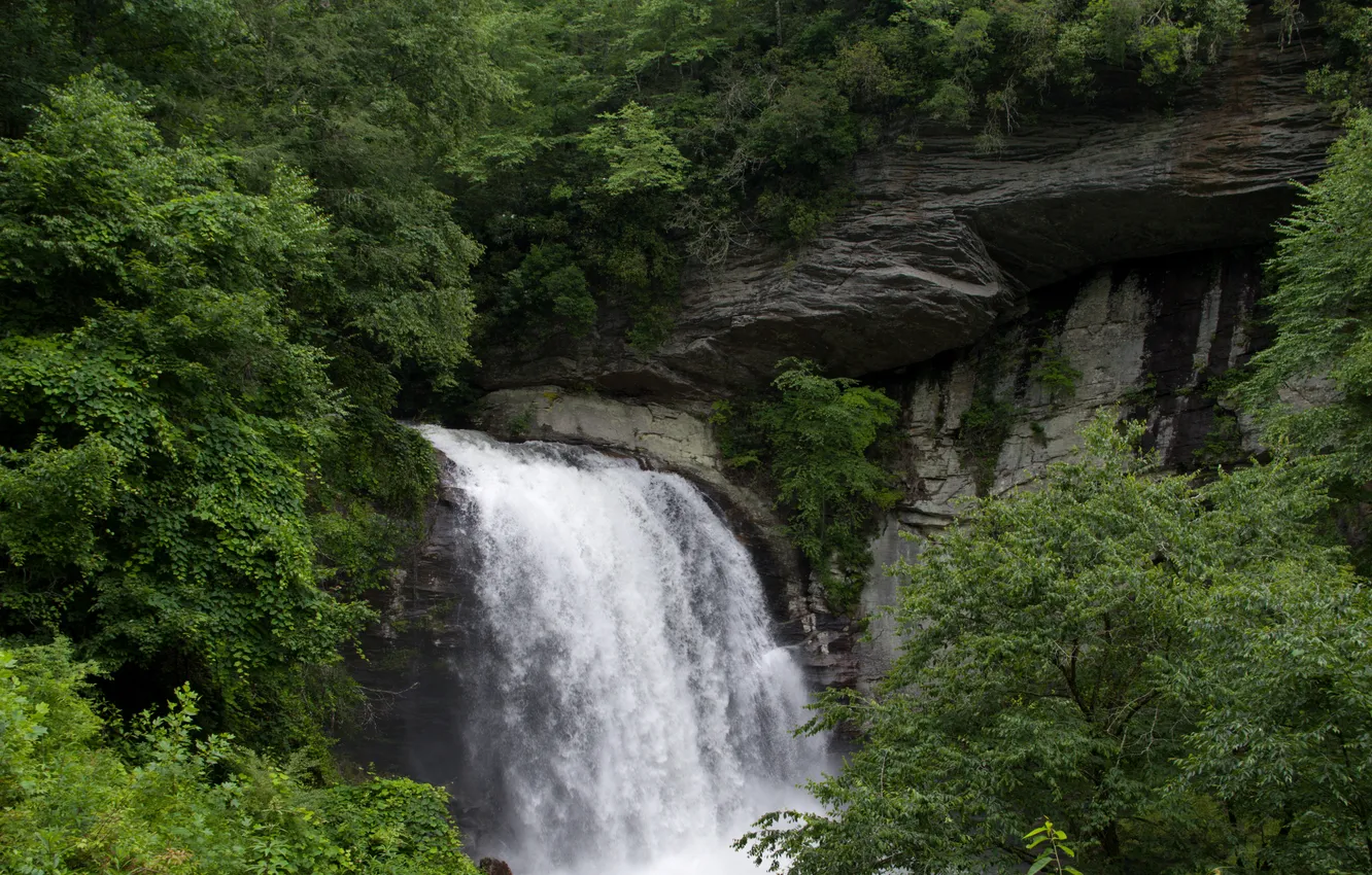 Photo wallpaper water, trees, rock, waterfall