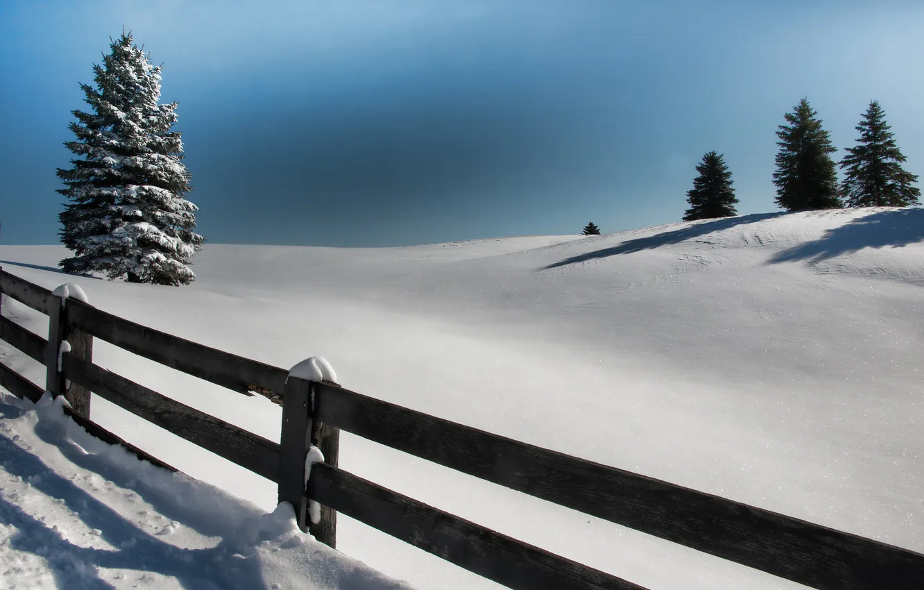 Photo wallpaper winter, snow, tree, Board, the fence, spruce