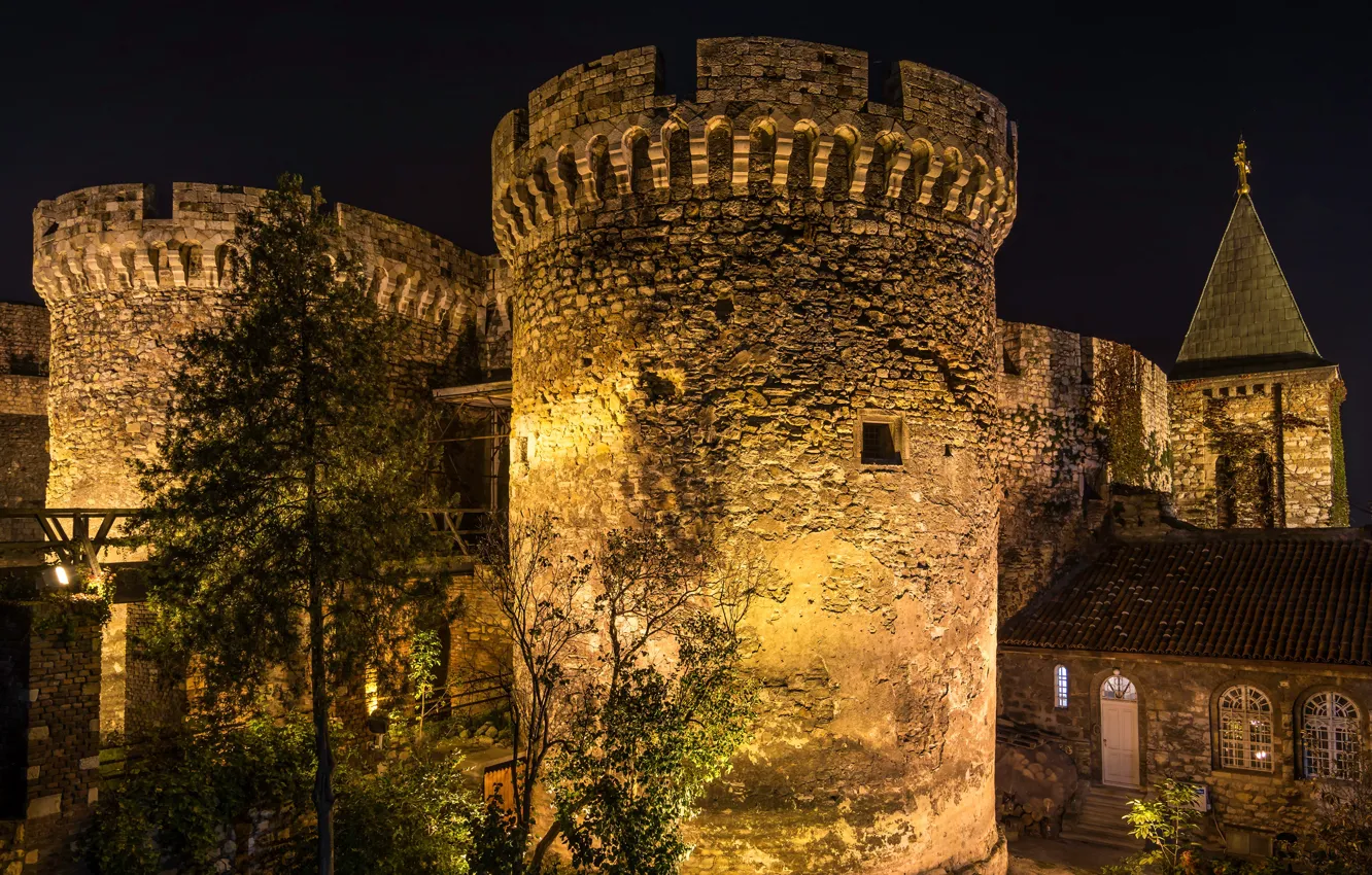 Photo wallpaper trees, night, lights, wall, lights, tower, fortress, Serbia