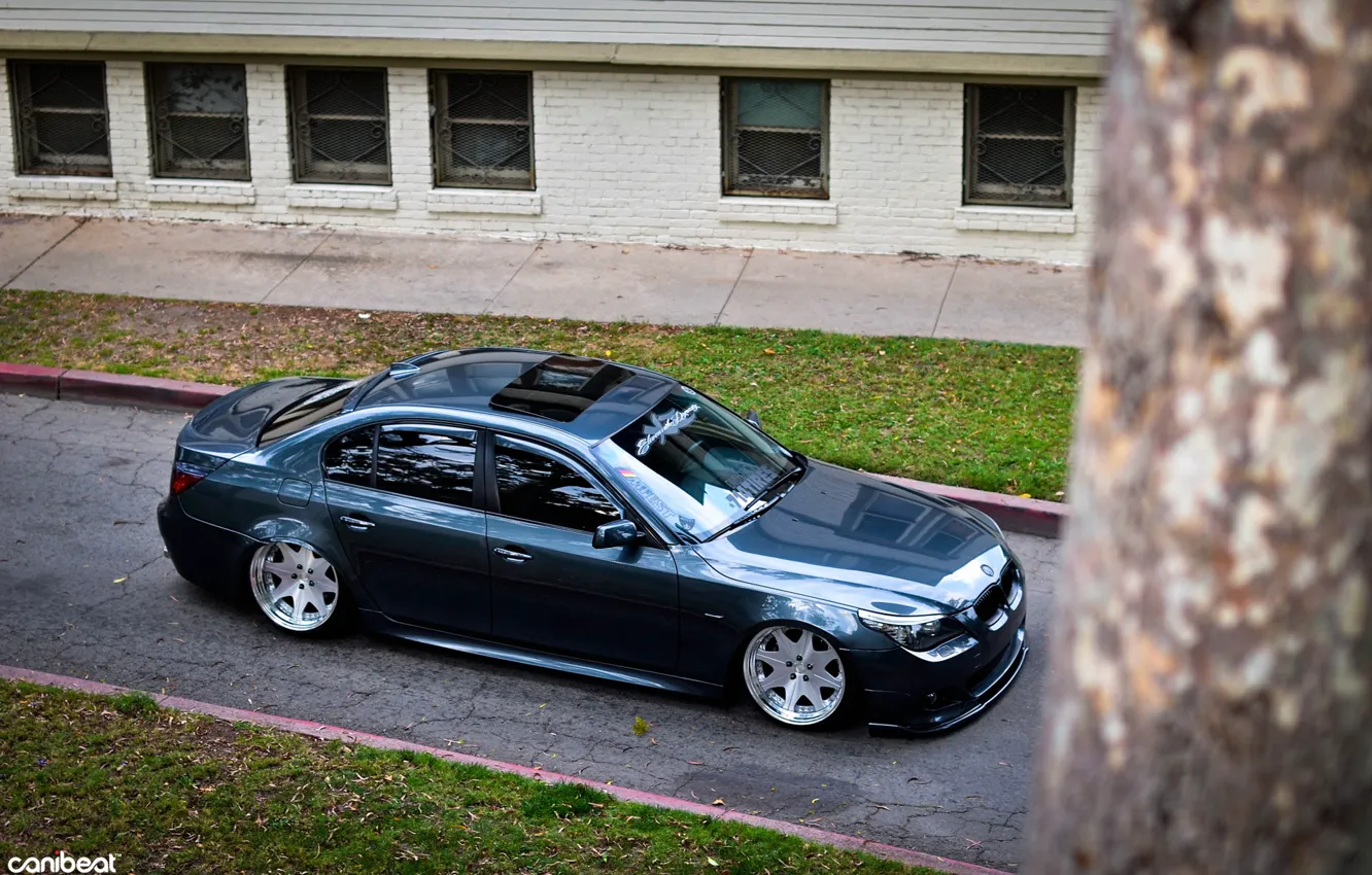 Photo wallpaper BMW, tuning, E60, canibeat, 528i