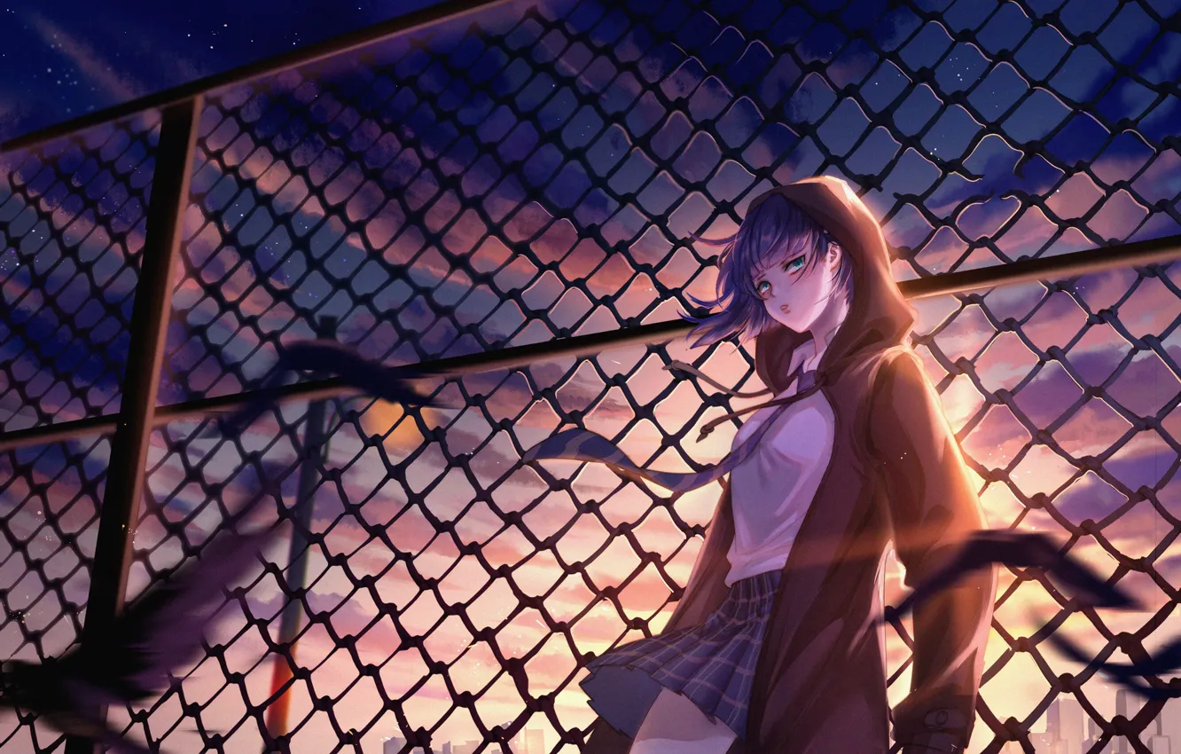 Photo wallpaper girl, sunset, mesh, Darling In The Frankxx