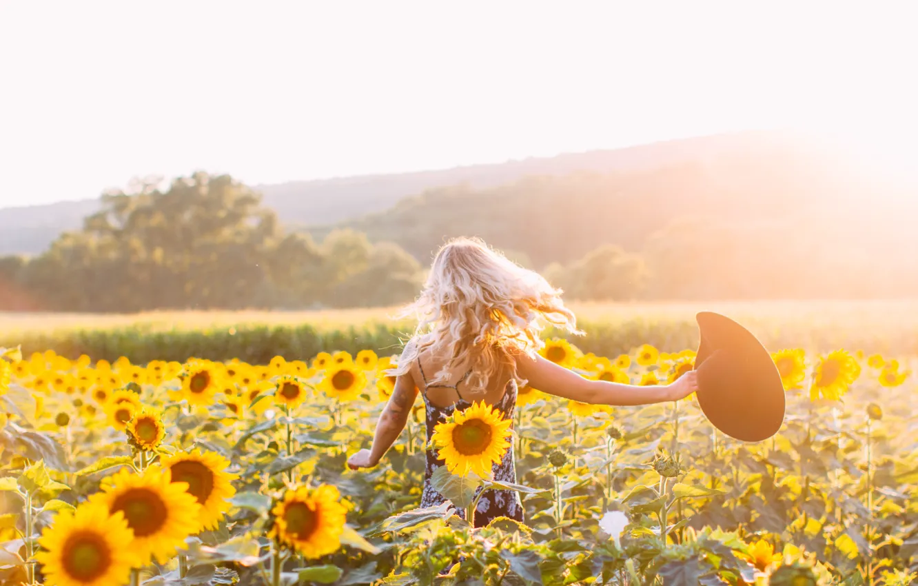 Photo wallpaper girl, sunflowers, hat
