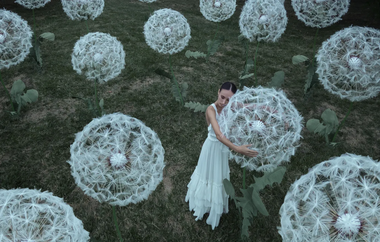 Photo wallpaper girl, flowers, nature, pose, style, dandelion, glade, the scenery