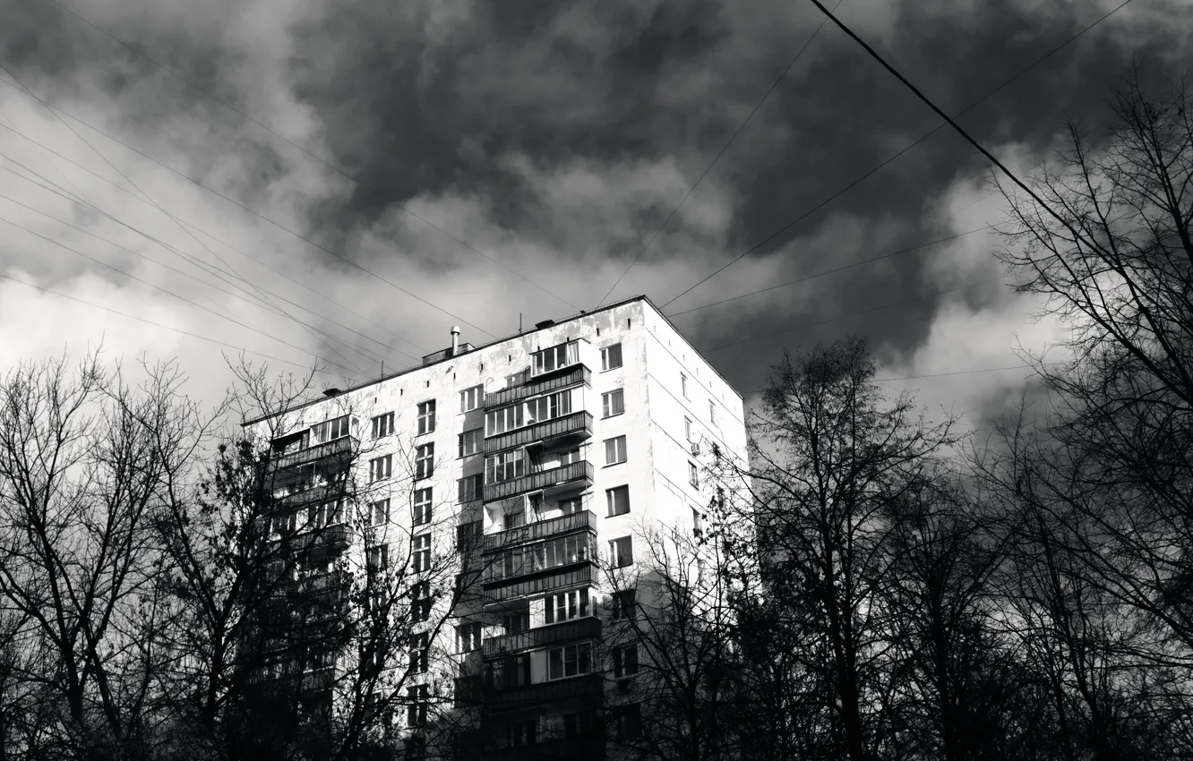 Photo wallpaper the sky, trees, home, b & W photo