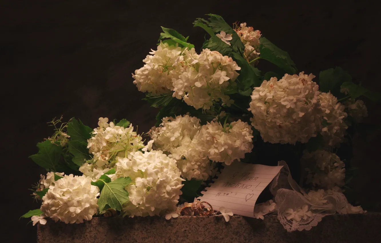 Photo wallpaper white, letter, hydrangea