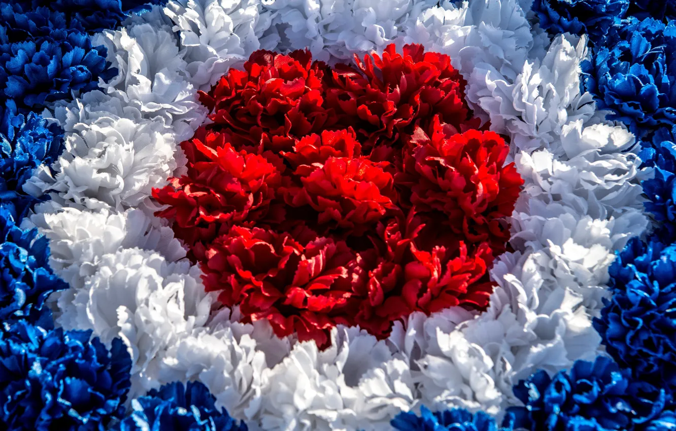 Photo wallpaper red, white, texture, blue