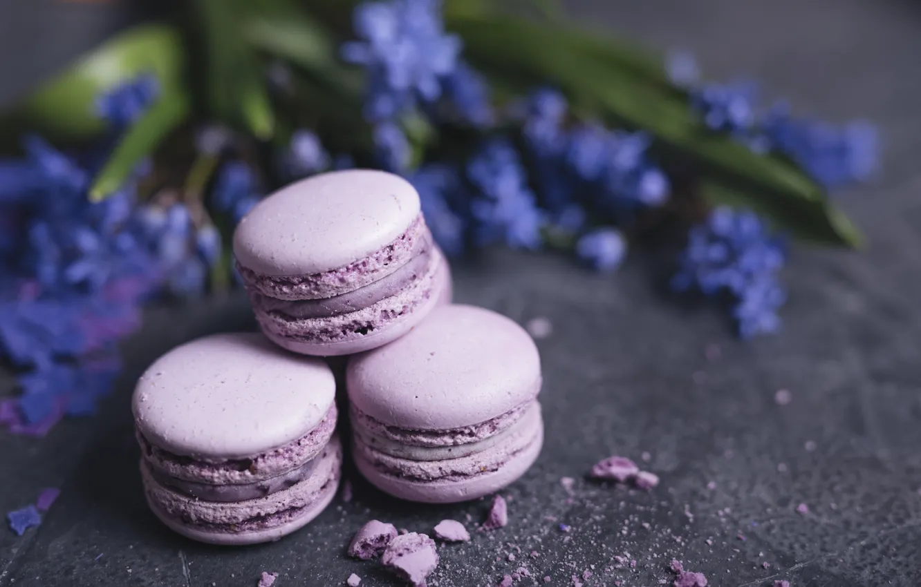 Photo wallpaper bouquet, cookies, dessert, lavender, macaron, almond
