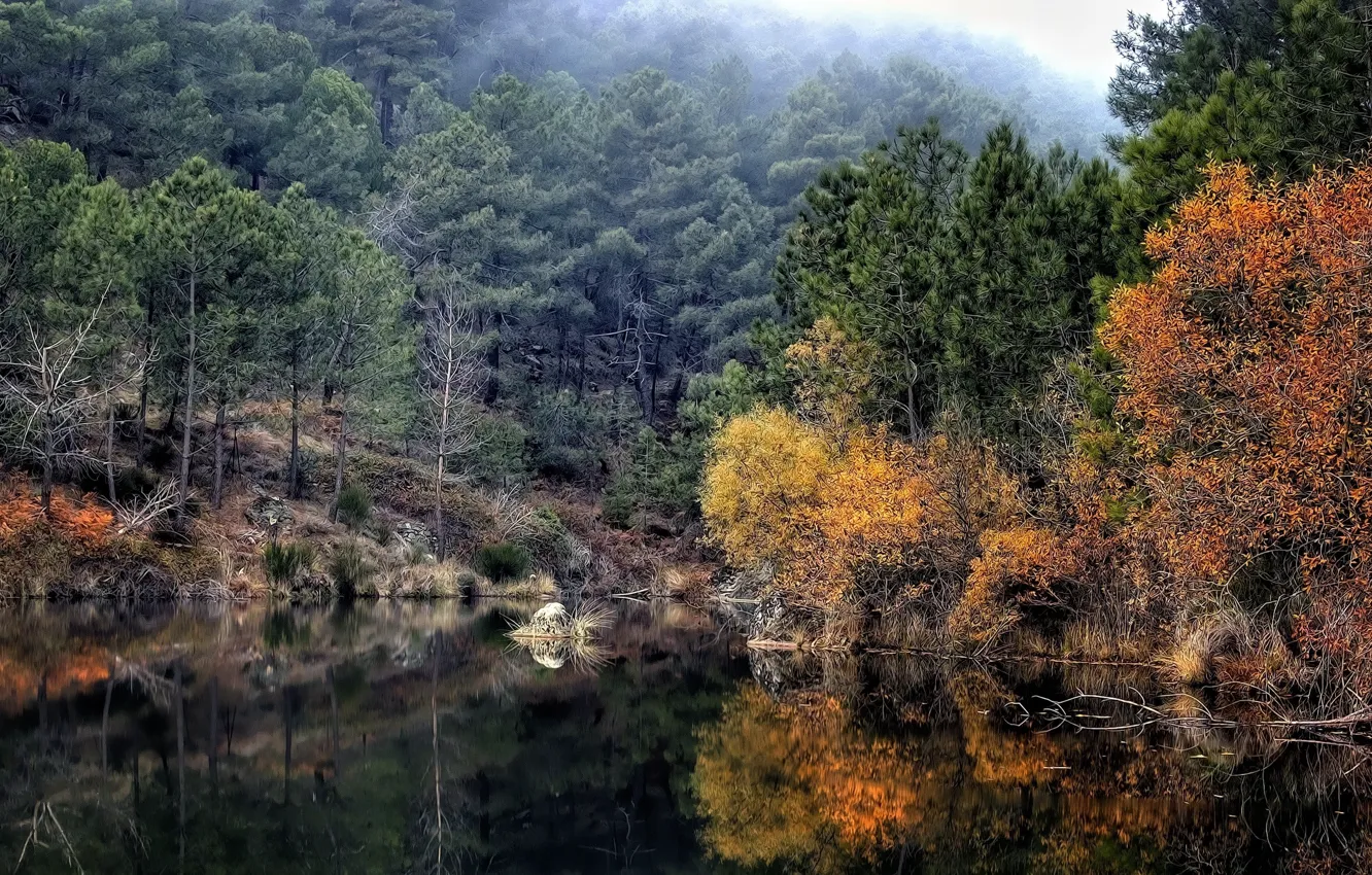 Photo wallpaper autumn, forest, landscape, nature, lake