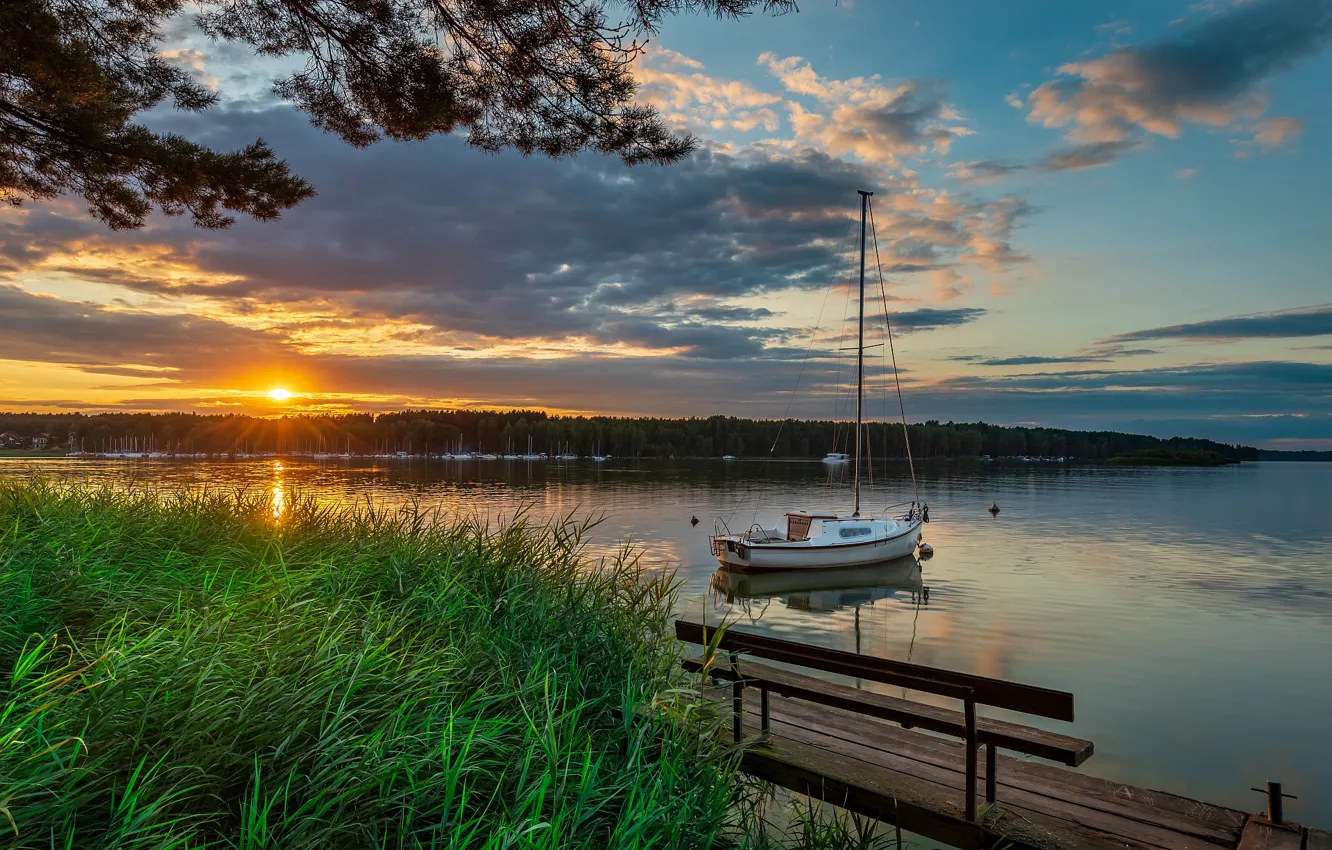 Photo wallpaper forest, grass, landscape, sunset, nature, lake, shore, boat