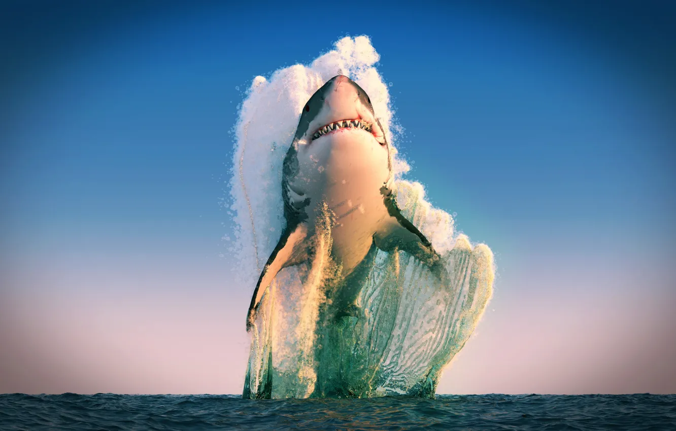 Photo wallpaper predator, shark, sea, LOMO