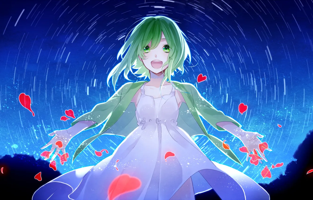 Photo wallpaper the sky, girl, stars, joy, night, anime, petals, art