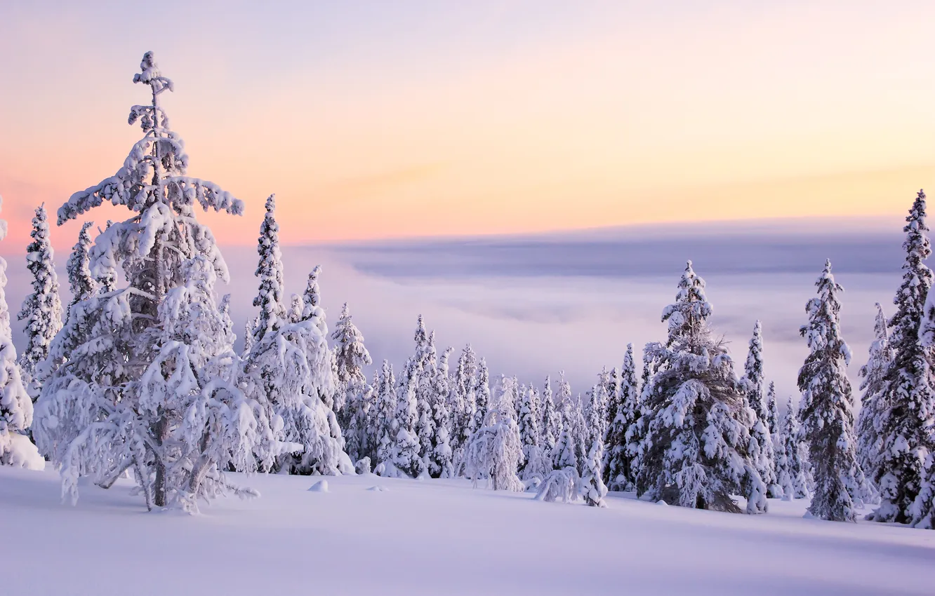 Photo wallpaper winter, the sky, the sun, clouds, snow, trees, landscape, sunset