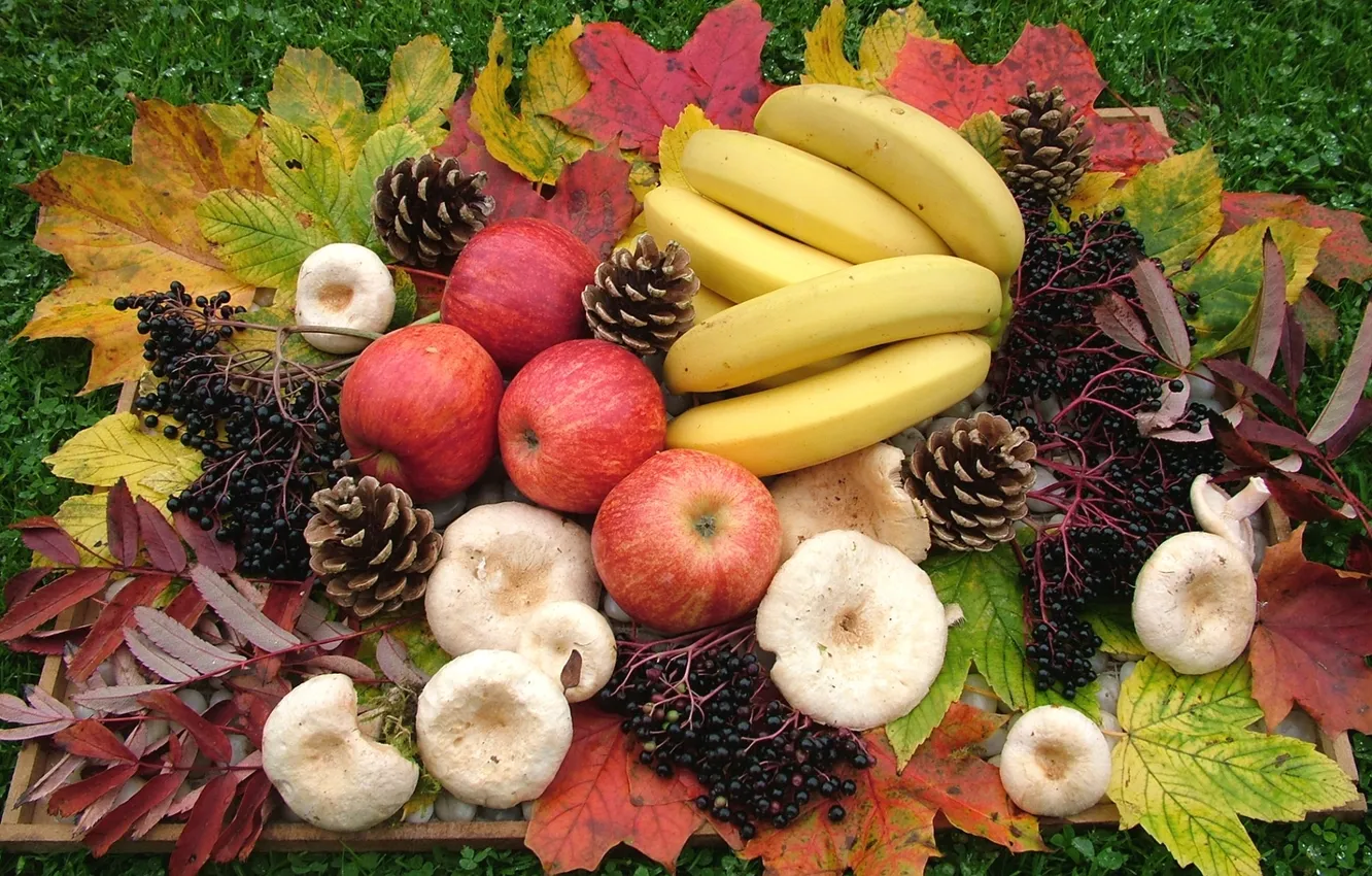 Photo wallpaper leaves, apples, mushrooms, bananas, bumps
