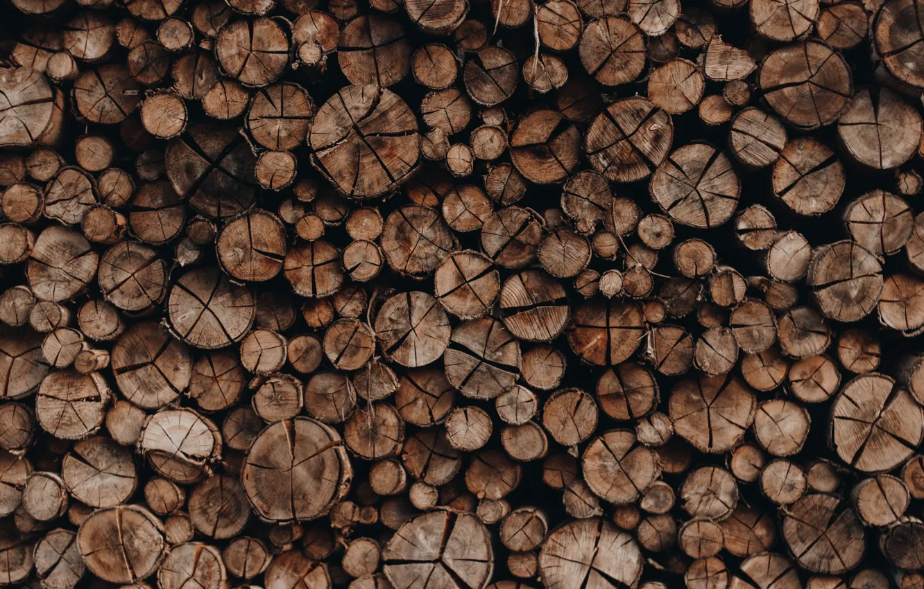 Photo wallpaper Log, Background, A lot, Logs, Wood, Timber